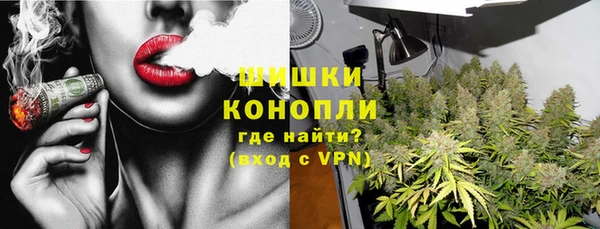 МДПВ Осташков