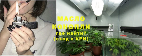 бошки Пересвет
