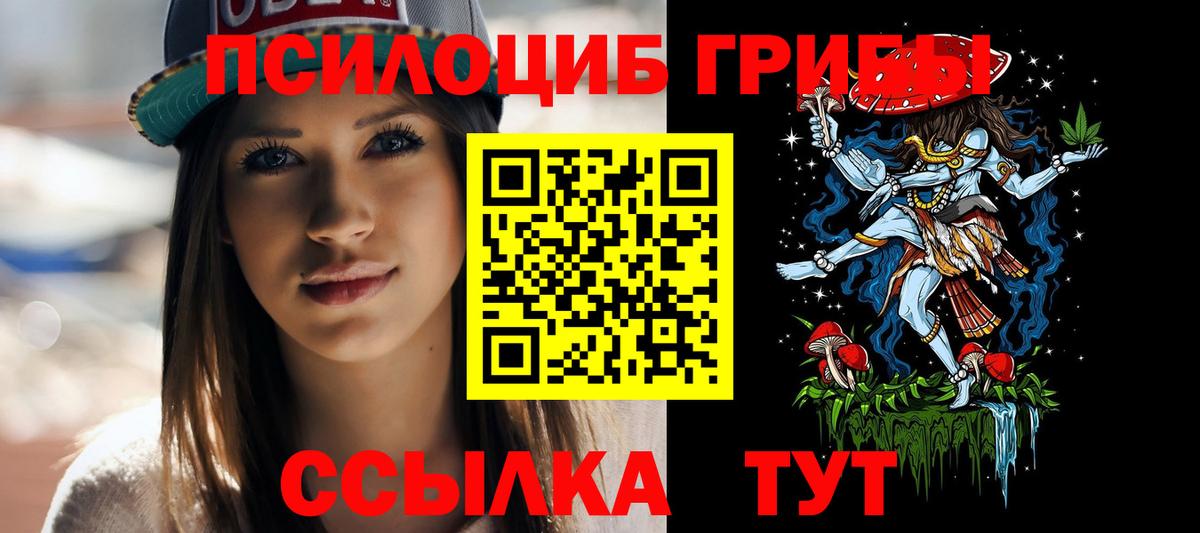 Псилоцибиновые грибы MAGIC MUSHROOMS  Вход с VPN  Мурино  Псилоцибиновые грибы Psilocybine cubensis 