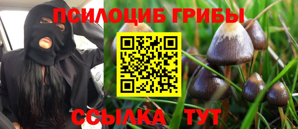 Псилоцибиновые грибы мицелий Мурино